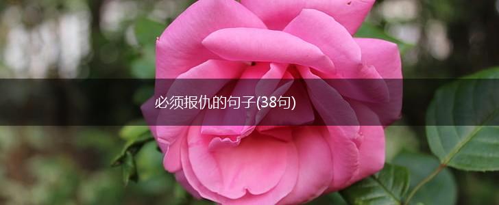 必须报仇的句子(38句),第1张