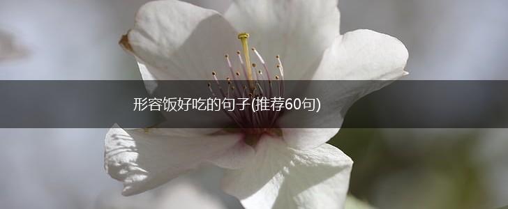 形容饭好吃的句子(推荐60句),第1张