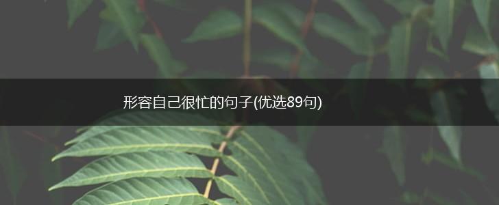 形容自己很忙的句子(优选89句),第1张