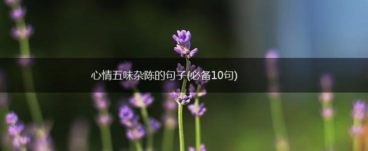 心情五味杂陈的句子(必备10句),第1张