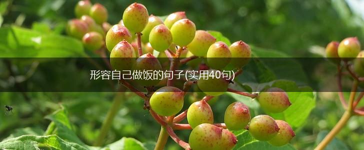 形容自己做饭的句子(实用40句),第1张