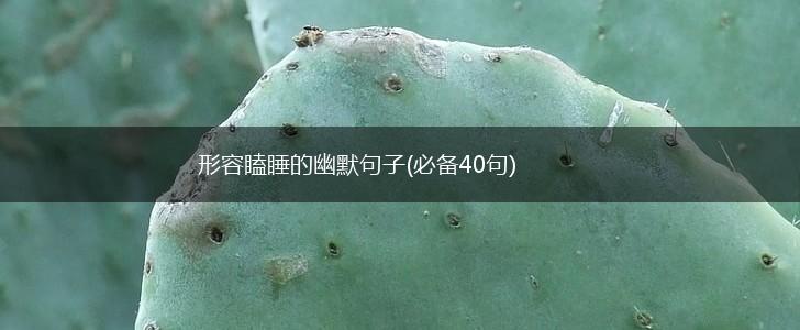 形容瞌睡的幽默句子(必备40句),第1张