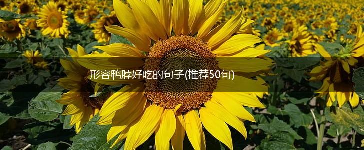 形容鸭脖好吃的句子(推荐50句),第1张