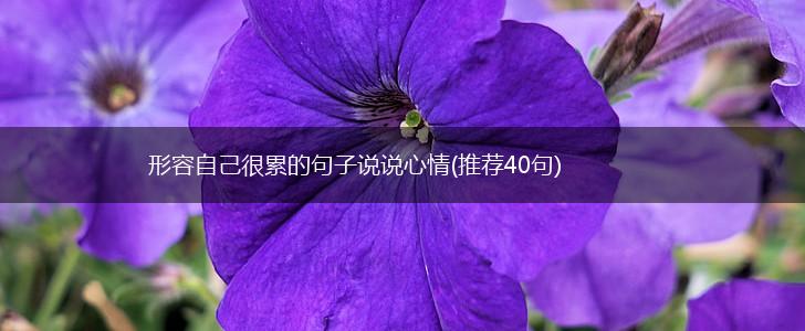 形容自己很累的句子说说心情(推荐40句),第1张