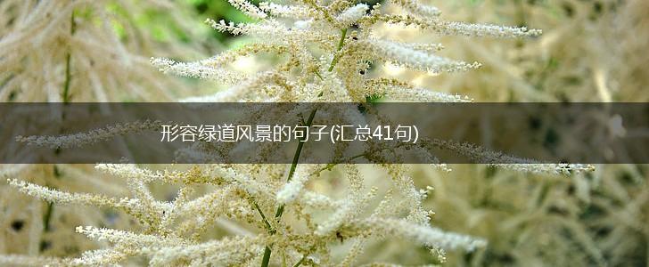 形容绿道风景的句子(汇总41句),第1张