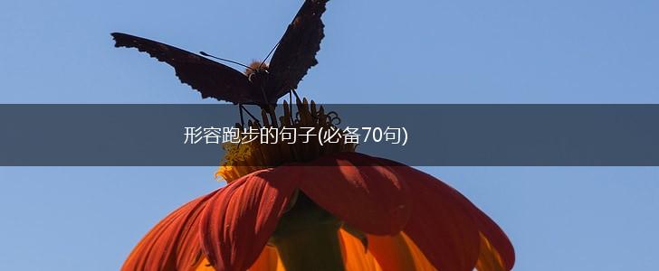 形容跑步的句子(必备70句),第1张