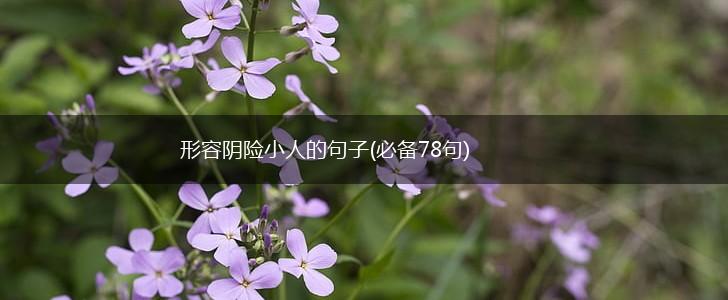 形容阴险小人的句子(必备78句),第1张