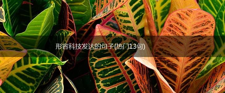 形容科技发达的句子(热门13句),第1张