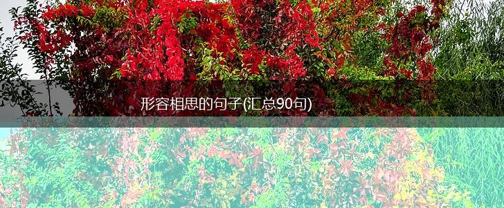 形容相思的句子(汇总90句),第1张