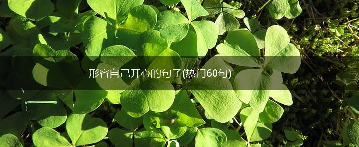 形容自己开心的句子(热门60句),第1张