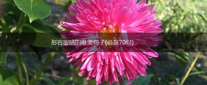 形容眼睛的唯美句子(必备70句),第1张