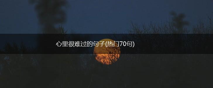 心里很难过的句子(热门70句),第1张
