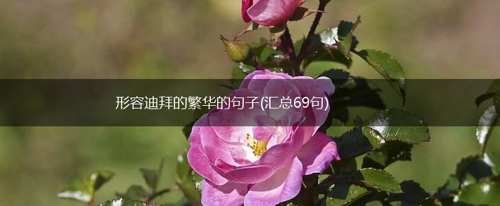 形容迪拜的繁华的句子(汇总69句),第1张