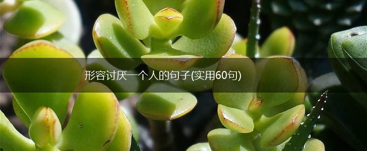 形容讨厌一个人的句子(实用60句),第1张