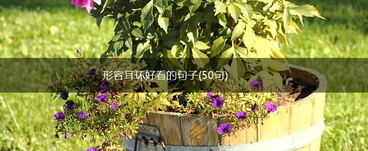 形容耳环好看的句子(50句),第1张