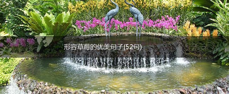 形容草莓的优美句子(52句),第1张