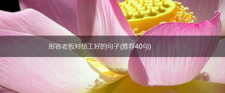 形容老板对员工好的句子(推荐40句),第1张