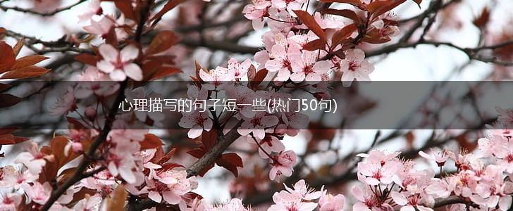 心理描写的句子短一些(热门50句),第1张