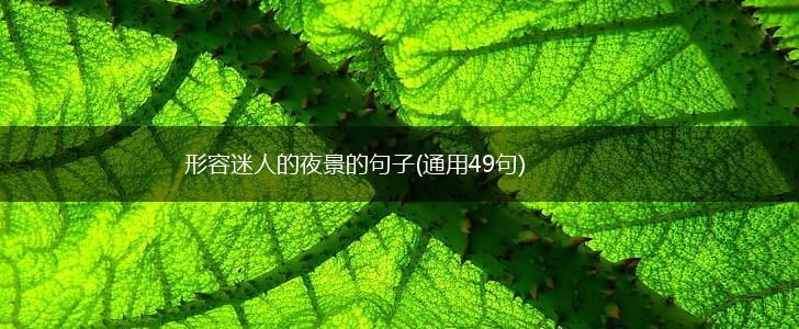 形容迷人的夜景的句子(通用49句),第1张