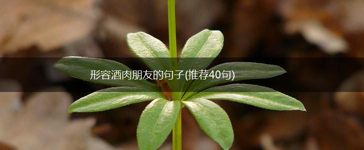 形容酒肉朋友的句子(推荐40句),第1张