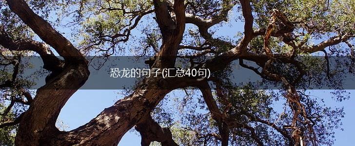 恐龙的句子(汇总40句),第1张