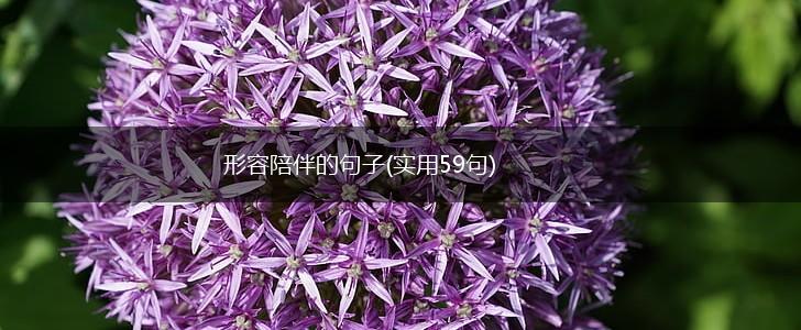 形容陪伴的句子(实用59句),第1张