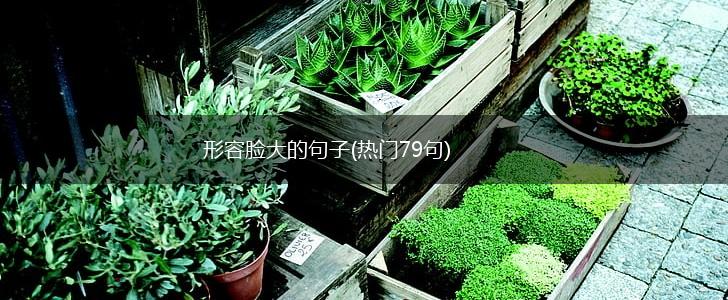 形容脸大的句子(热门79句),第1张
