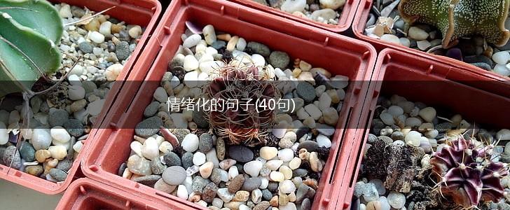 情绪化的句子(40句),第1张