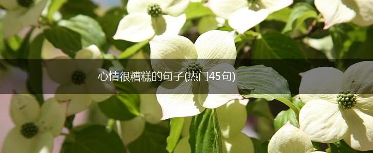 心情很糟糕的句子(热门45句),第1张