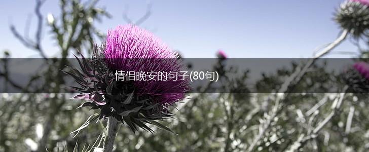 情侣晚安的句子(80句),第1张