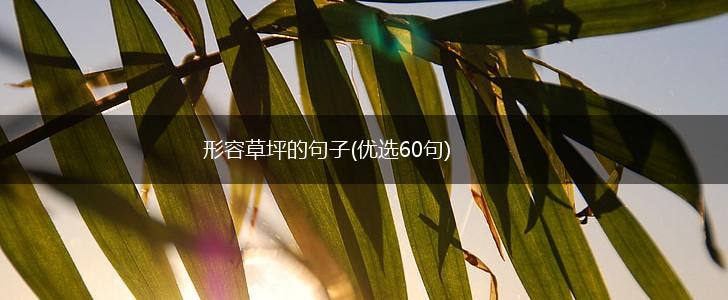 形容草坪的句子(优选60句),第1张