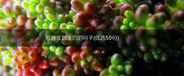 形容非常凑巧的句子(优选50句),第1张