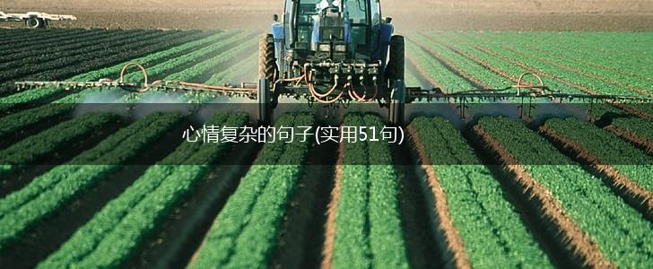 心情复杂的句子(实用51句),第1张