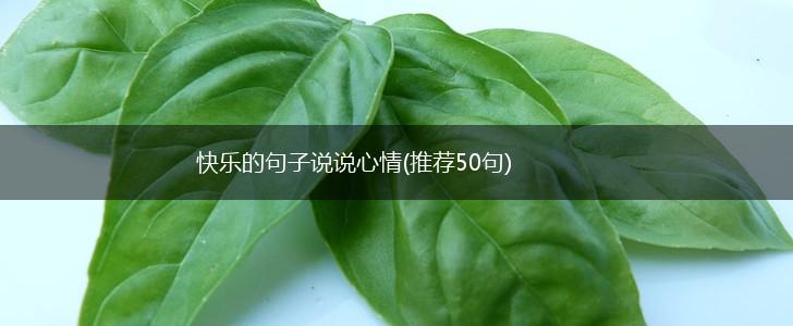 快乐的句子说说心情(推荐50句),第1张