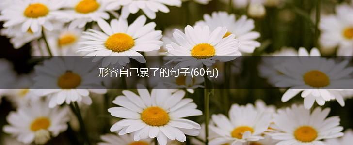 形容自己累了的句子(60句),第1张