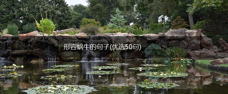 形容蜗牛的句子(优选50句),第1张