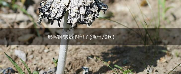 形容睡懒觉的句子(通用70句),第1张