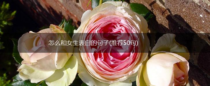 怎么和女生表白的句子(推荐50句),第1张