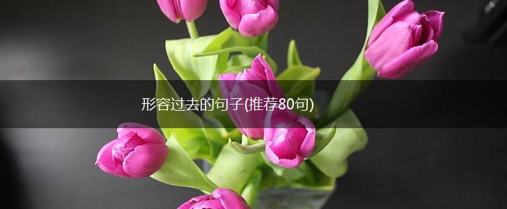 形容过去的句子(推荐80句),第1张