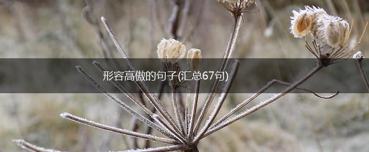 形容高傲的句子(汇总67句),第1张