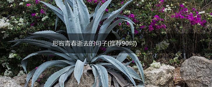 形容青春逝去的句子(推荐90句),第1张