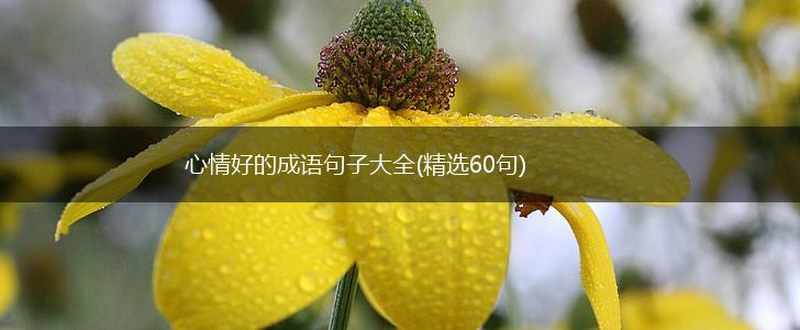 心情好的成语句子大全(精选60句),第1张