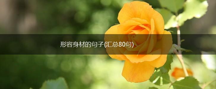 形容身材的句子(汇总80句),第1张