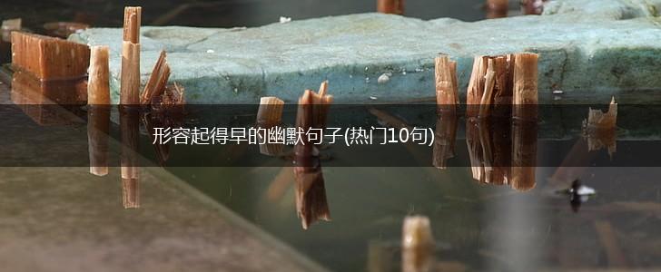 形容起得早的幽默句子(热门10句),第1张