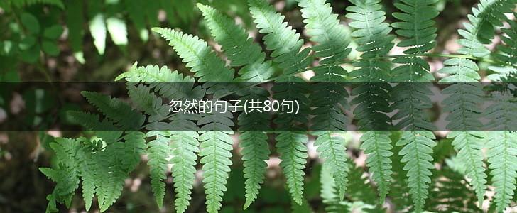 忽然的句子(共80句),第1张