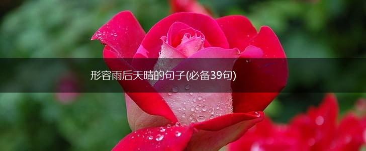 形容雨后天晴的句子(必备39句),第1张