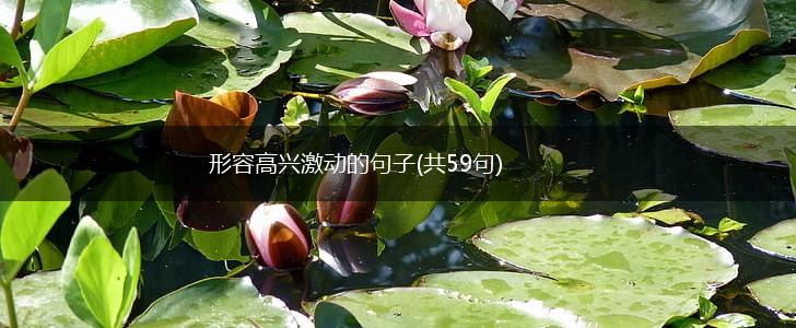形容高兴激动的句子(共59句),第1张