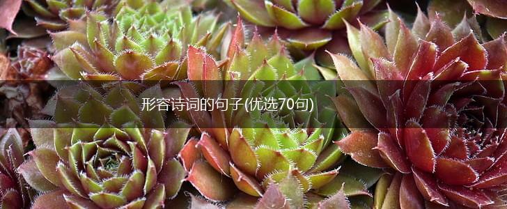 形容诗词的句子(优选70句),第1张
