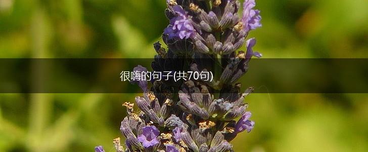 很嗨的句子(共70句),第1张