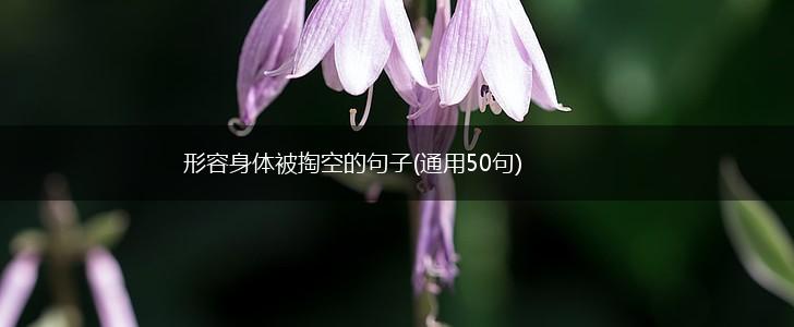 形容身体被掏空的句子(通用50句),第1张